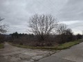 Продава ПАРЦЕЛ, с. Могилино, област Русе, снимка 2