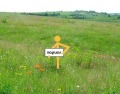 Продава ПАРЦЕЛ, област Пловдив, гр. Раковски • 113000 € • 91973796 — Holmes.bg