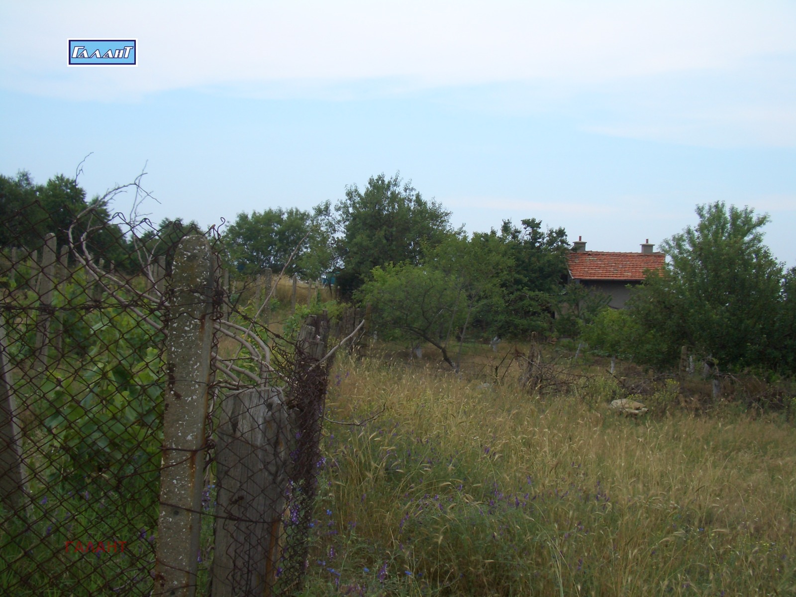 ������� ������ | Imot.bg � ����������� 1