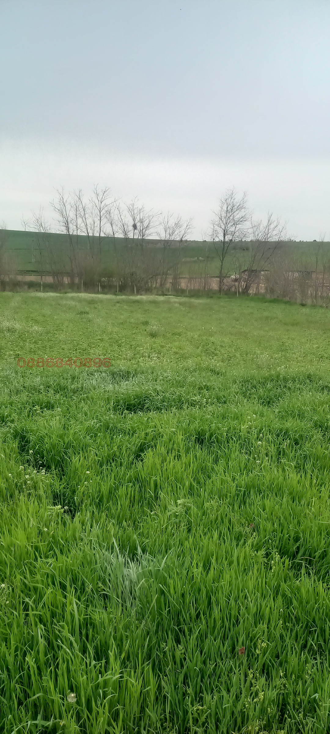 ������� ������ | Imot.bg � ����������� 1