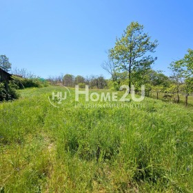 ������ ������� ������