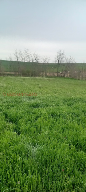 ����� ������� ������,�. ����������, ������ ������ �������