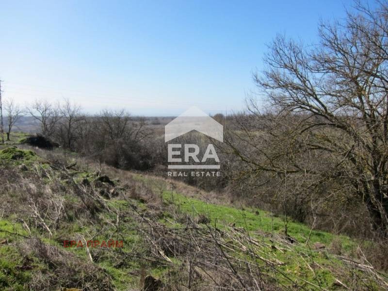 Продава ПАРЦЕЛ, с. Кривня, област Варна, снимка 6 - Парцели - 55289033