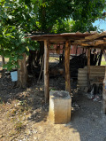 Продава ПАРЦЕЛ, с. Шуменци, област Силистра, снимка 5