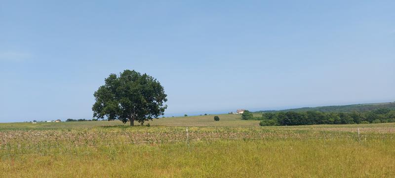 Продава ПАРЦЕЛ | Imot.bg — изображение 4