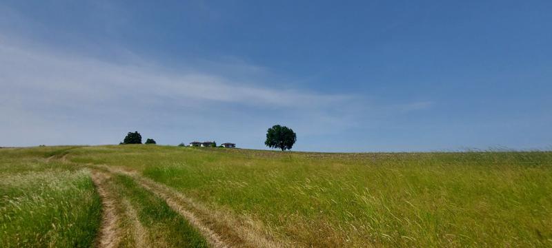 Продава ПАРЦЕЛ | Imot.bg — изображение 5