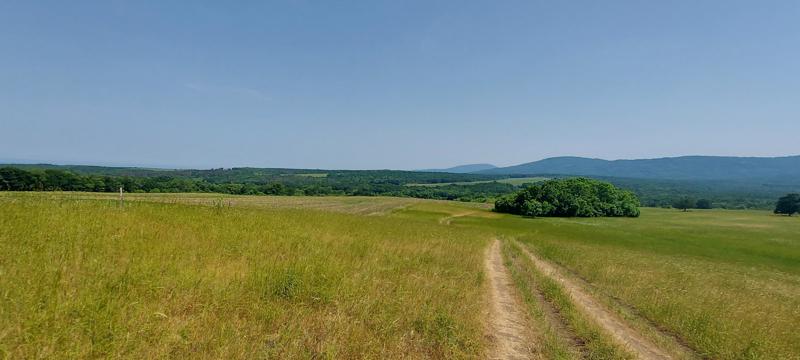 Продава ПАРЦЕЛ | Imot.bg — изображение 7