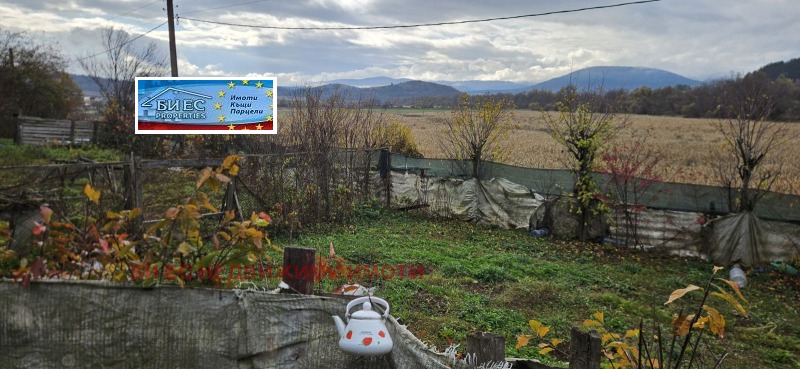 Продава КЪЩА, гр. Трън, област Перник, снимка 4 - Къщи - 52412640