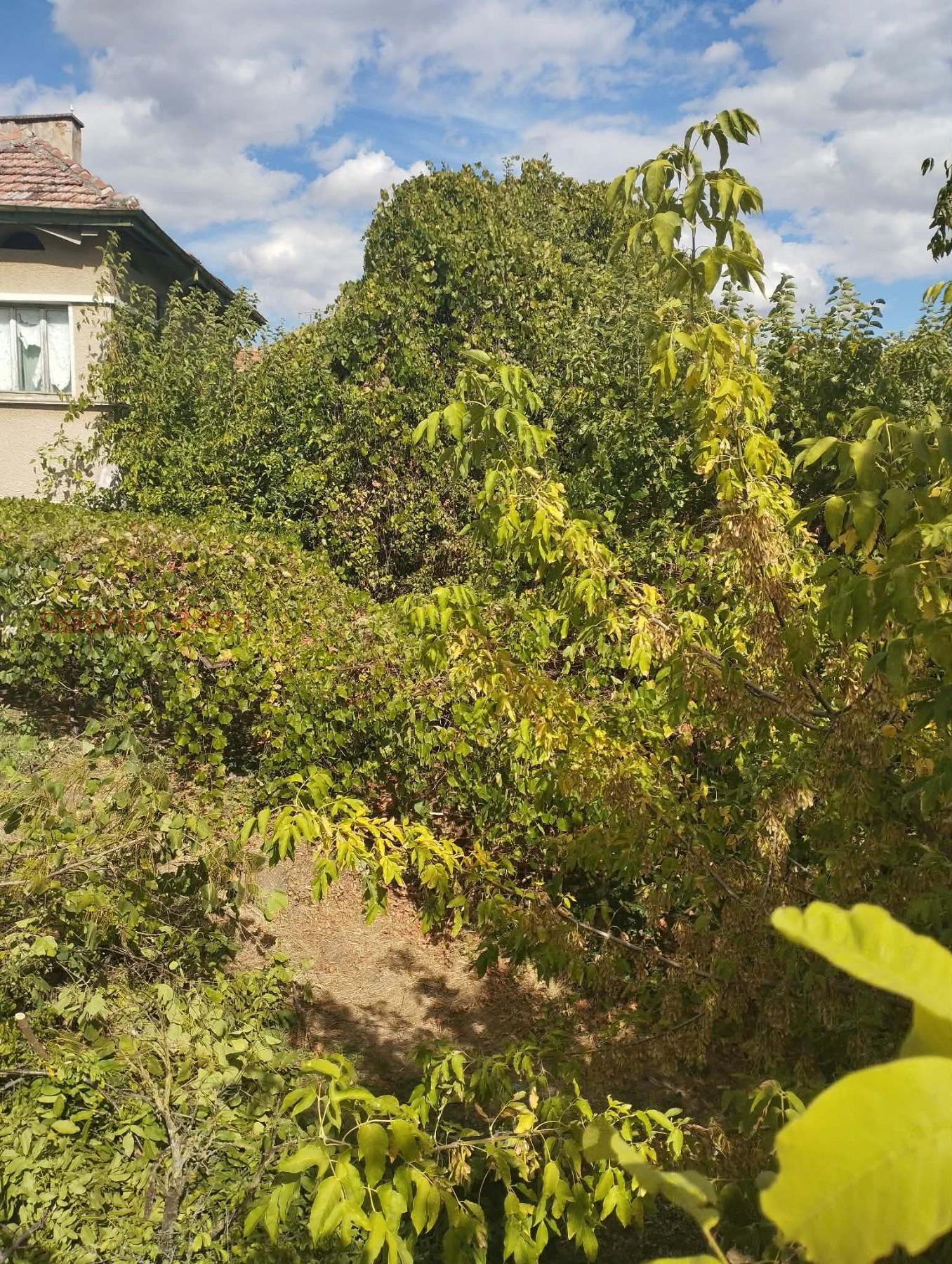 Продава КЪЩА, с. Липен, област Монтана, снимка 10 - Къщи - 56238230