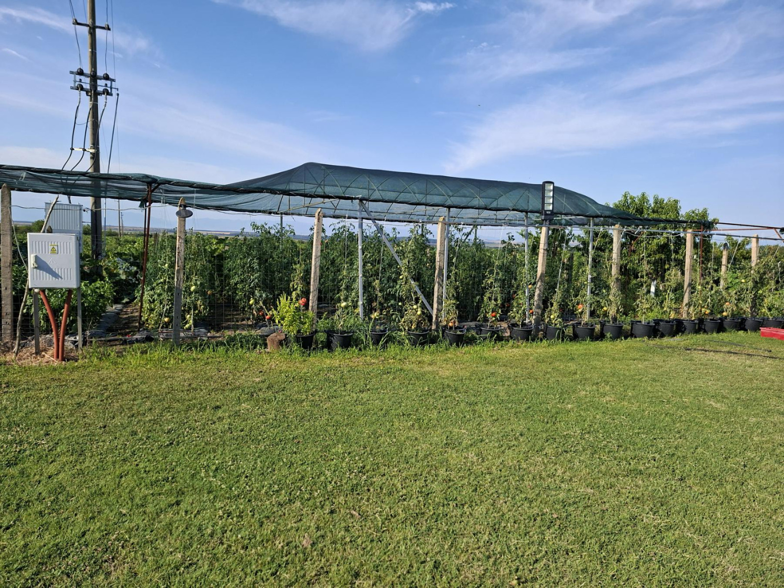 Продава ЗЕМЕДЕЛСКА ЗЕМЯ, с. Мътеница, област Пловдив, снимка 4 - Земеделска земя - 55937543