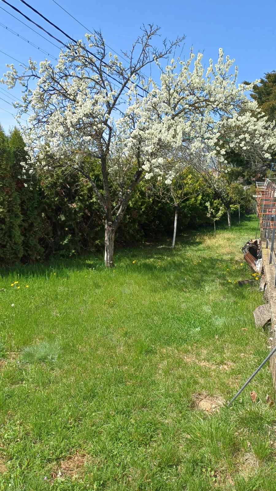 ������� ���� | Imot.bg � ����������� 4