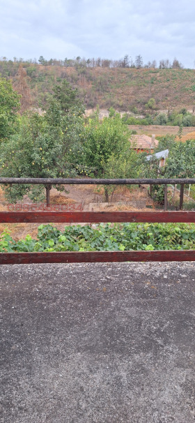 ����� ������� ����,���� ����, ������ ����