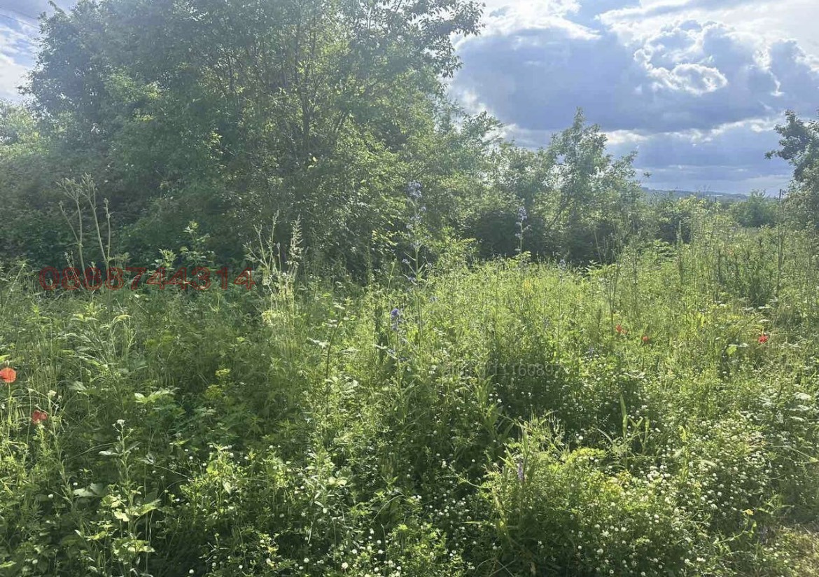 Продава ПАРЦЕЛ, гр. Кърджали, Веселчане, снимка 4 - Парцели - 55413259
