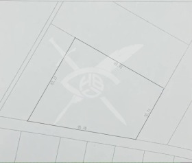 ������ ������� ������