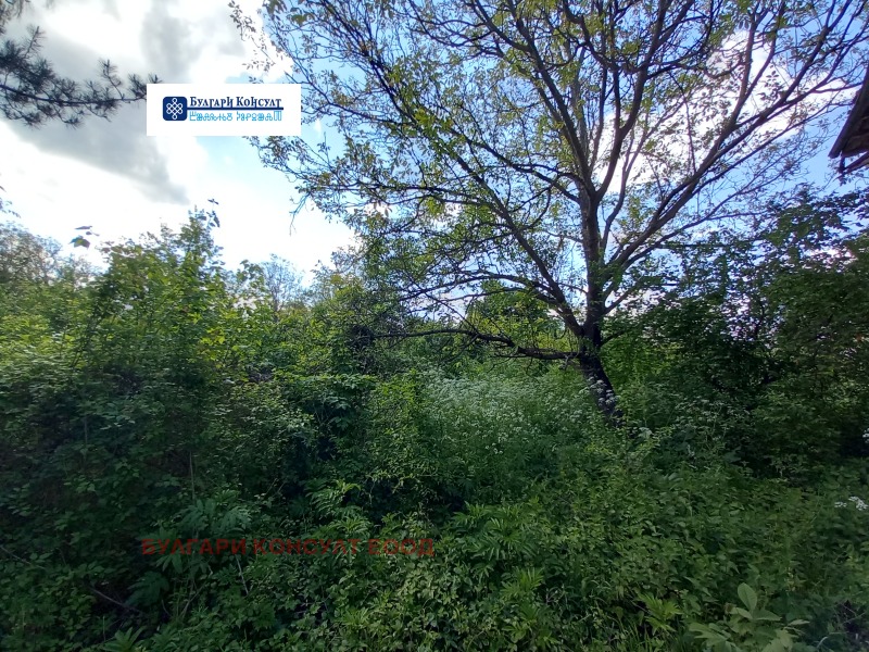 Til salgs  Hus region Montana , Sjerkaski , 82 kvm | 16332657 - bilde [15]