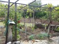 Продава КЪЩА, област Варна, с. Брестак • 35000 € • 76678180 — Holmes.bg