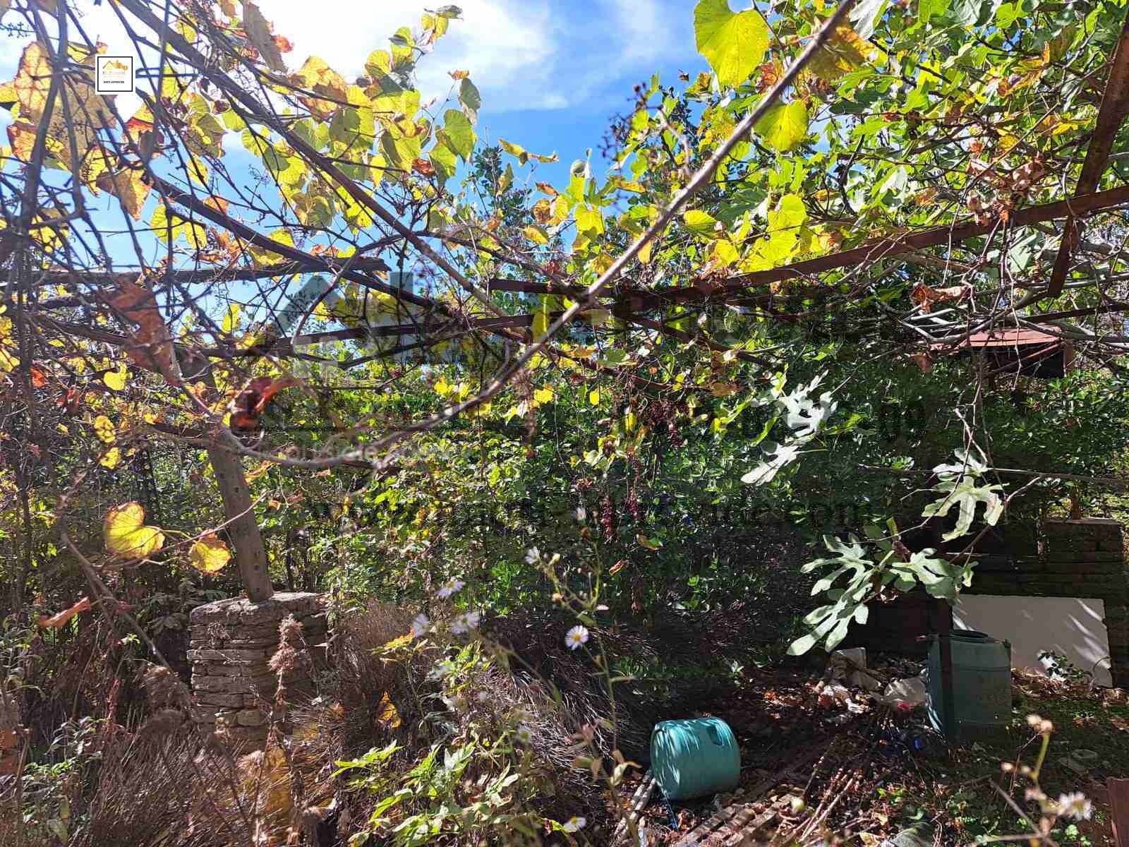 Продава КЪЩА | Imot.bg — изображение 8