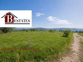 ����� ������� ���������� ����,��. �����, ������ �����