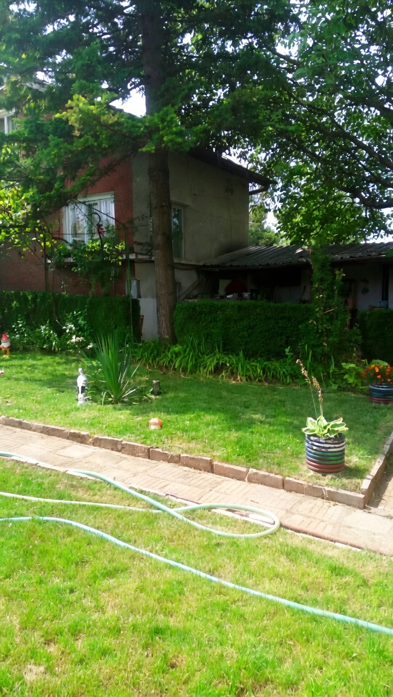 Продава ВИЛА, гр. Монтана, Парта 2, снимка 2 - Вили - 55095288