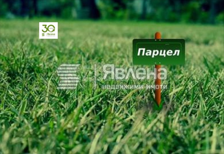Продава ПАРЦЕЛ, с. Рогачево, област Добрич
