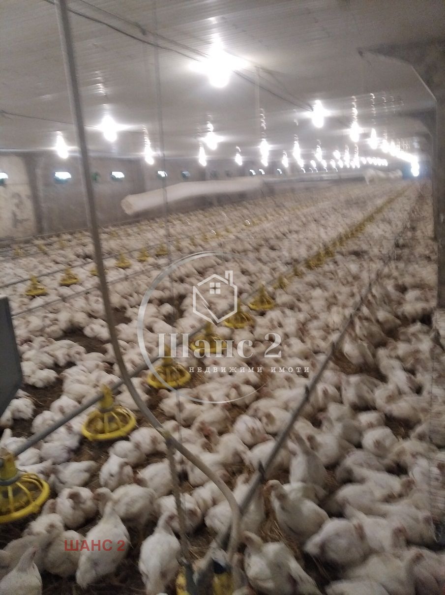 Продава БИЗНЕС ИМОТ, гр. Провадия, област Варна, снимка 3 - Други - 53912879