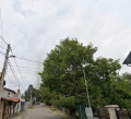 Продава ПАРЦЕЛ, гр. София, Орландовци, снимка 2