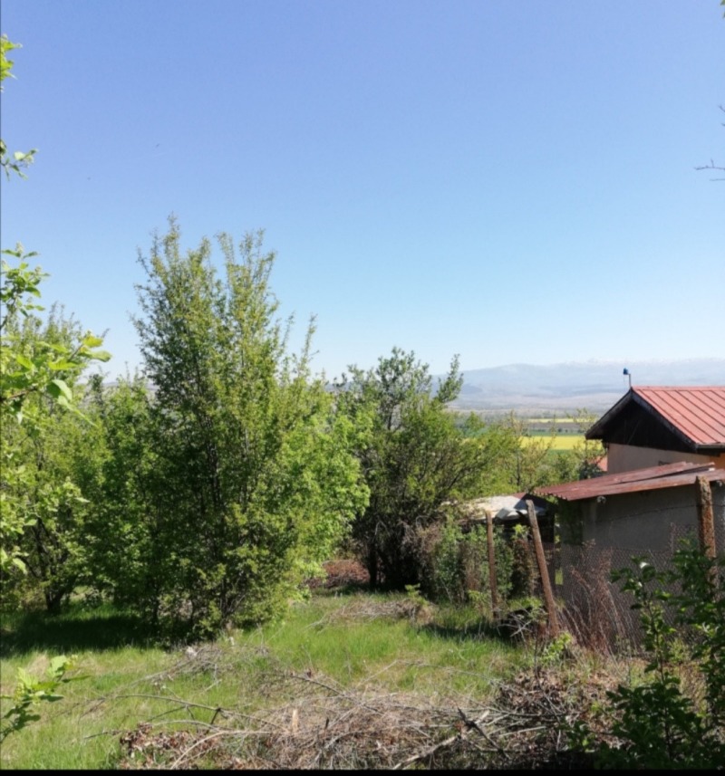 Продава  Парцел област Перник , с. Кондофрей , 1273 кв.м | 91420480 - изображение [4]