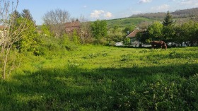 Plot Prosena, region Ruse 1