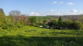 Parcelle Prosena, région Roussé 4