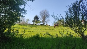 Οικόπεδο Προσενα, περιοχή Ruse 3