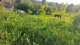 Parcelle Prosena, région Roussé 6