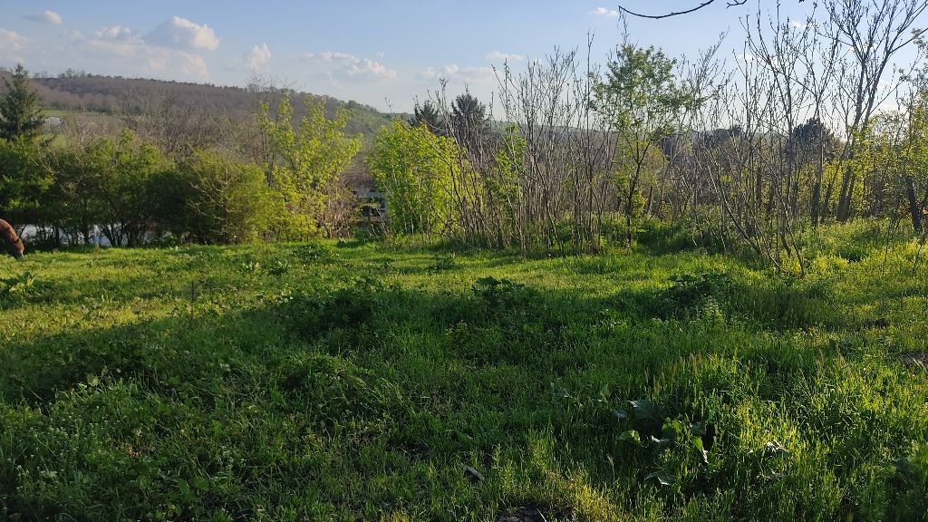 Продава ПАРЦЕЛ, с. Просена, област Русе, снимка 2 - Парцели - 46049523