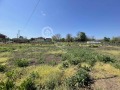 Продава КЪЩА, област Велико Търново, с. Михалци • 19500 € • 68024445 — Holmes.bg