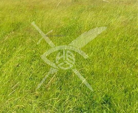 Продава ПАРЦЕЛ, гр. Поморие, област Бургас