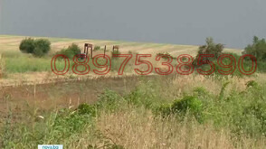 Продава  Земеделска земя област Хасково , гр. Свиленград , 4 дка | 71836699