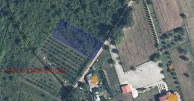 Plot Kaleytsa, region Lovech 1