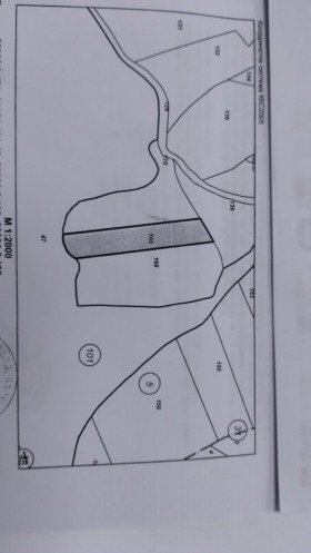 Grund Zhilentsi, region Kyustendil