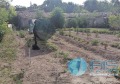 Продава КЪЩА, област Шумен, гр. Плиска • 65000 лв. • 50955701 — Holmes.bg