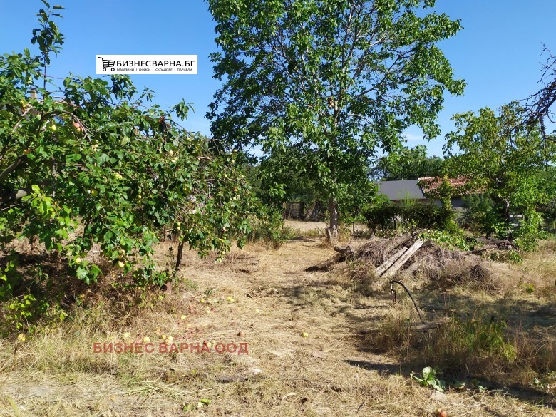 ������� ������ | Imot.bg � ����������� 4