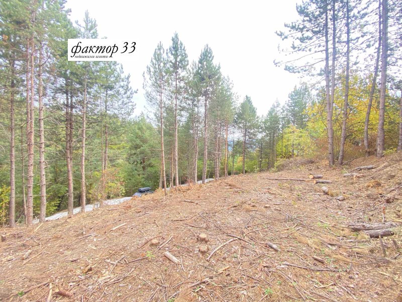 Na prodej  Spiknutí Sofia , Bistrica , 1100 m2 | 30453219 - obraz [5]