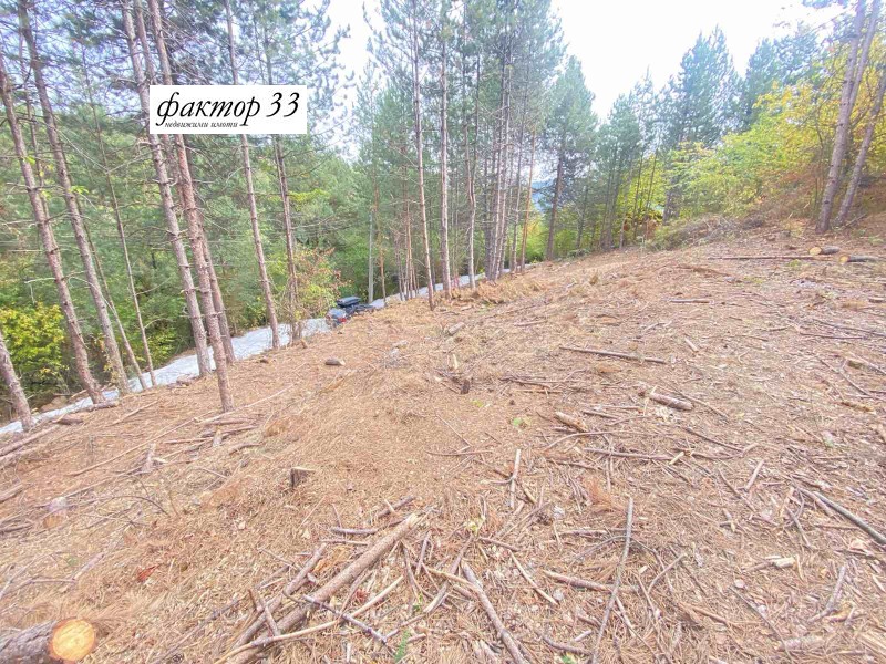 Na prodej  Spiknutí Sofia , Bistrica , 1100 m2 | 30453219 - obraz [4]