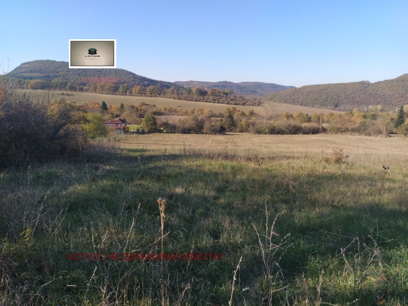 For Sale  Plot region Veliko Tarnovo , Slivovitsa , 5000 sq.m | 74556543 - image [2]