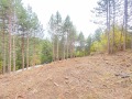 Продава ПАРЦЕЛ, град София, с. Бистрица • 264000 € / 516339.12 лв. • 14976634 5