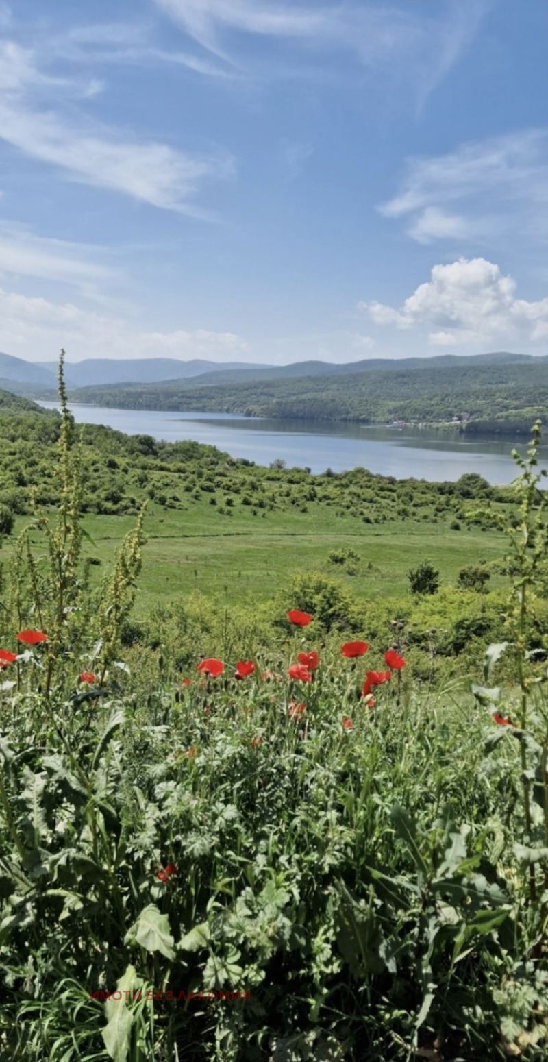 Satılık  Komplo bölge Pernik , yaz. Pçelina , 3000 metrekare | 36851063 - görüntü [8]