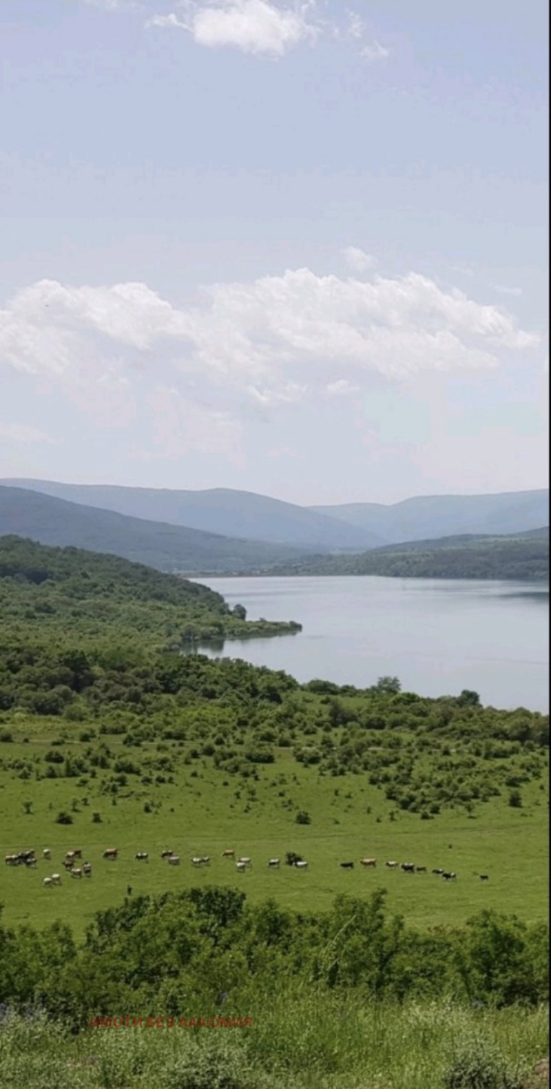Satılık  Komplo bölge Pernik , yaz. Pçelina , 3000 metrekare | 36851063 - görüntü [6]