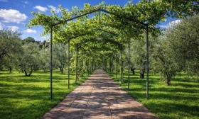 ������� ���� | Imot.bg � ����� ������ 13