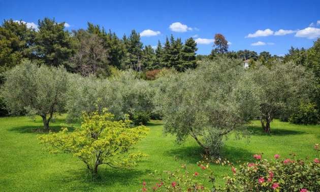 Продава ВИЛА, Извън страната, област Извън страната, снимка 11 - Вили - 54087048