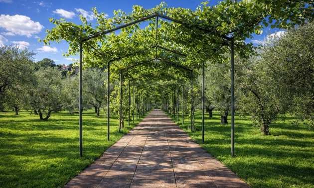 Продава ВИЛА, Извън страната, област Извън страната, снимка 13 - Вили - 54087048