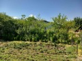 Продава КЪЩА, област Пловдив, с. Ново село • 125500 € • 64576891 — Holmes.bg