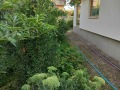 Продава КЪЩА, област Пловдив, с. Ново село • 125500 € • 64576891 — Holmes.bg
